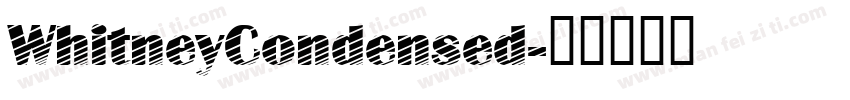WhitneyCondensed字体转换