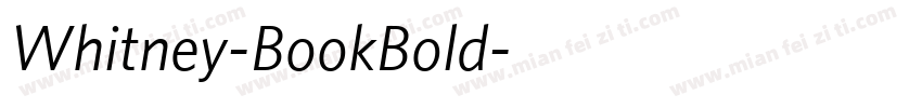 Whitney-BookBold字体转换
