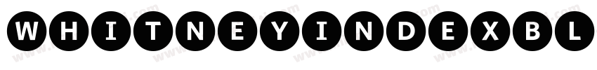 WhitneyIndexBlack字体转换
