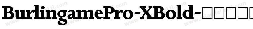 BurlingamePro-XBold字体转换