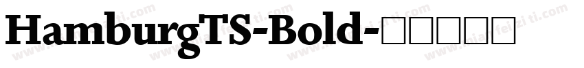 HamburgTS-Bold字体转换