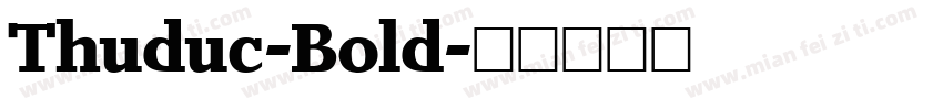 Thuduc-Bold字体转换