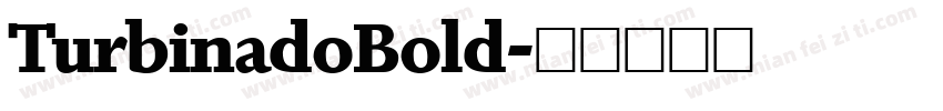 TurbinadoBold字体转换