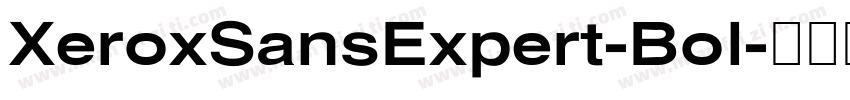 XeroxSansExpert-Bol字体转换