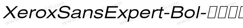 XeroxSansExpert-Bol字体转换