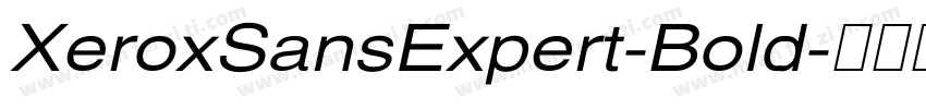XeroxSansExpert-Bold字体转换