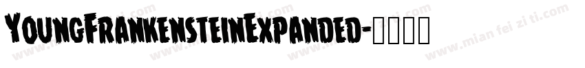 YoungFrankensteinExpanded字体转换