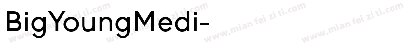 BigYoungMedi字体转换