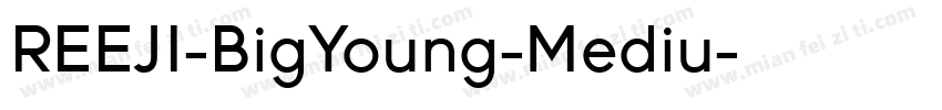 REEJI-BigYoung-Mediu字体转换