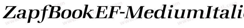 ZapfBookEF-MediumItalic字体转换