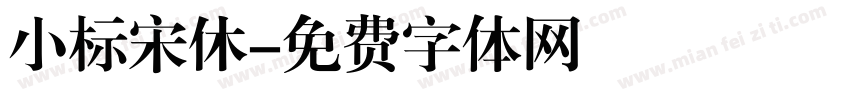 小标宋休字体转换