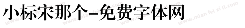 小标宋那个字体转换