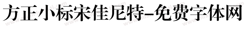 方正小标宋佳尼特字体转换