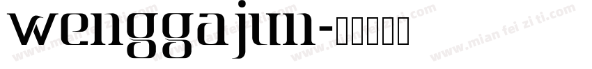 wenggajun字体转换