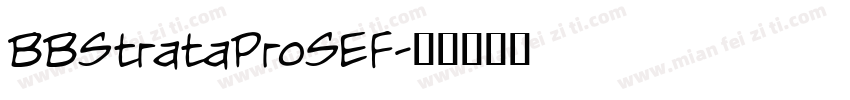 BBStrataProSEF字体转换