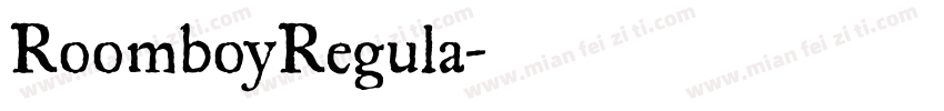 RoomboyRegula字体转换