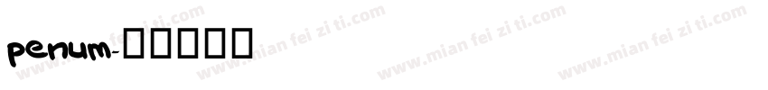 penum字体转换