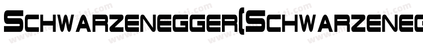 Schwarzenegger(Schwarzenegger)字体转换