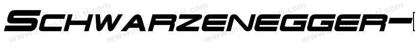 Schwarzenegger字体转换