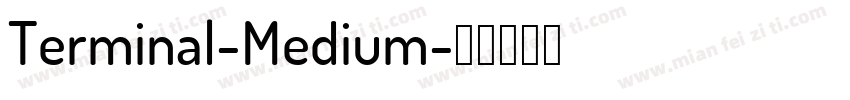 Terminal-Medium字体转换