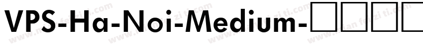VPS-Ha-Noi-Medium字体转换
