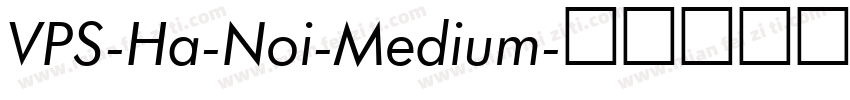 VPS-Ha-Noi-Medium字体转换