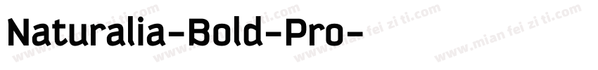 Naturalia-Bold-Pro字体转换