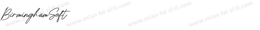 BirminghamSoft字体转换