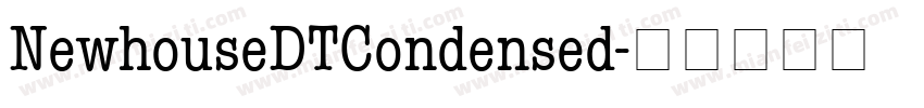 NewhouseDTCondensed字体转换