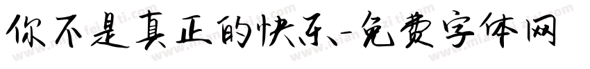 你不是真正的快乐字体转换