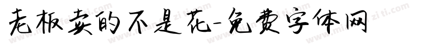 老板卖的不是花字体转换