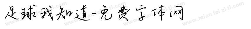 足球我知道字体转换