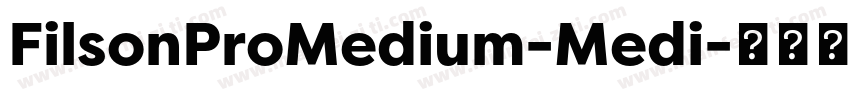 FilsonProMedium-Medi字体转换