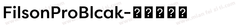 FilsonProBlcak字体转换
