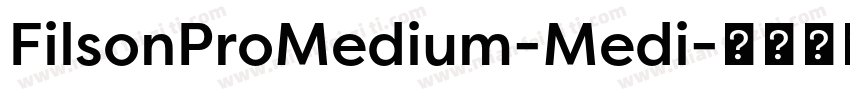 FilsonProMedium-Medi字体转换