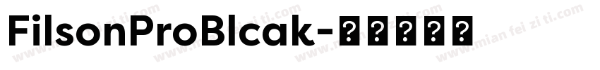 FilsonProBlcak字体转换