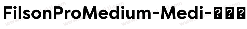 FilsonProMedium-Medi字体转换