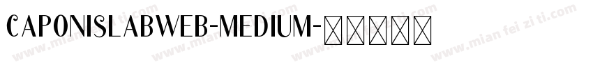caponislabweb-medium字体转换