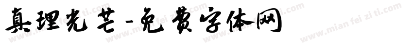 真理光芒字体转换