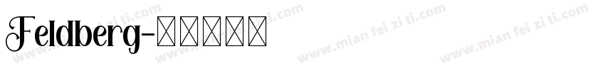 Feldberg字体转换