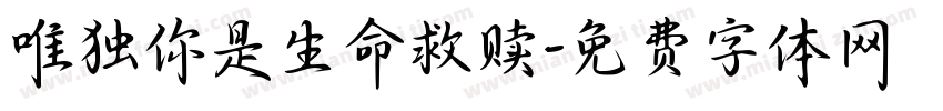 唯独你是生命救赎字体转换