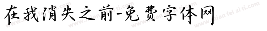 在我消失之前字体转换