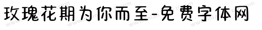 玫瑰花期为你而至字体转换