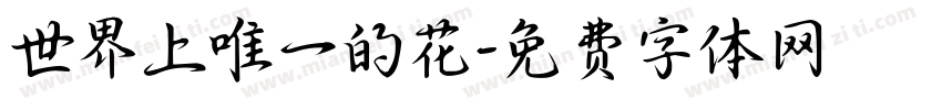 世界上唯一的花字体转换