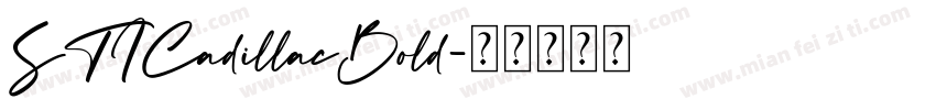 STICadillacBold字体转换