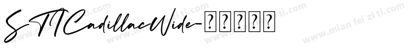 STICadillacWide字体转换