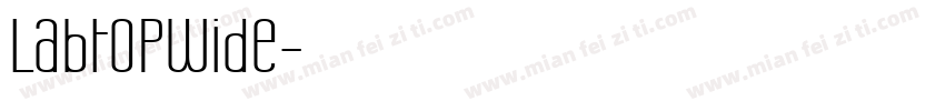 LabtopWide字体转换