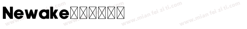 Newake字体转换
