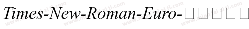 Times-New-Roman-Euro字体转换