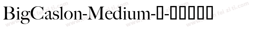 BigCaslon-Medium-中字体转换
